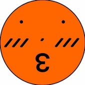 しょーーーじ。