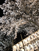 ろこたまる。