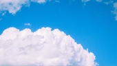 椎名