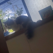おこげ