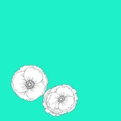 とうの