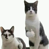 animeku