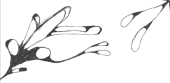 JoeHamDraws