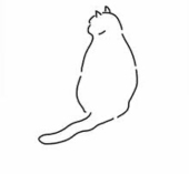 ゆゆ