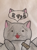 猫パパンチ(猫p)