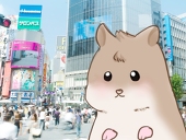 あゆん♡.。
