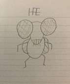 HAE