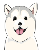 同条