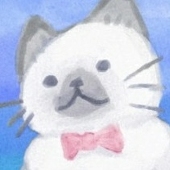 salmon零
