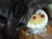 あめだま