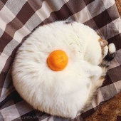 amai