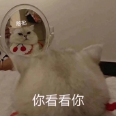 乐言静