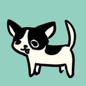 ふぇい