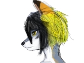 青兎