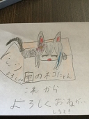 ネコにゃん