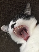 のぞみん