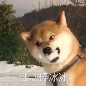 白桐