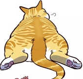 TANG
