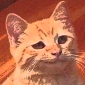 𝐓𝐔𝐊𝐚