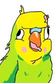Uwucei
