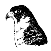 森キヨウ