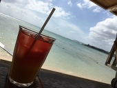すっポン酢