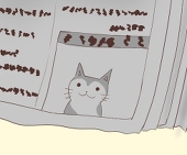 たいち