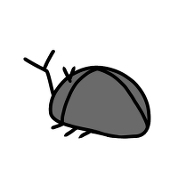 せんの