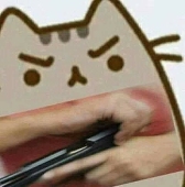 Kat Chattamas