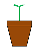 新植木鉢