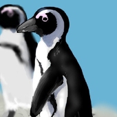 アサリ