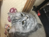 お湯