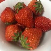 小卡卡新新