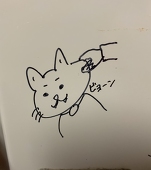 おおり
