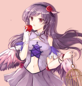 塔珞