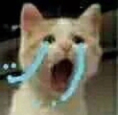 loki夫人