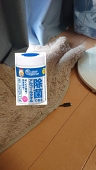 あのカ