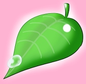 沖葉