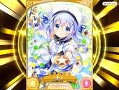 ノラ猫