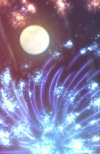 空。