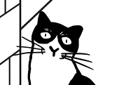 Mr.Cat