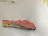 ﾔｼﾏ