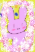 うさみみ