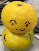 みかん