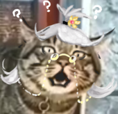 老年痴呆猹