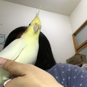 育瑄