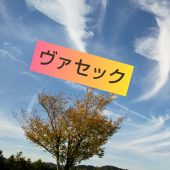 ヴァセック