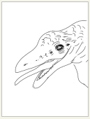 クリーチャーひか