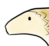 Yamadoli