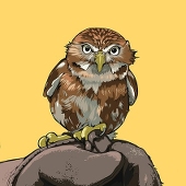 セリカ